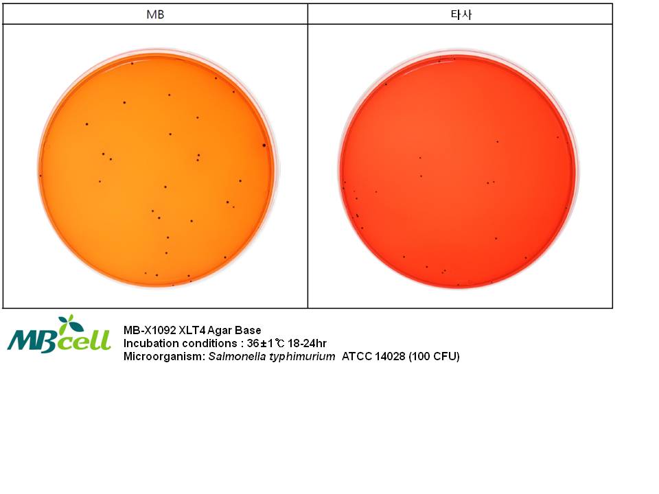 Kisanbio XLT4 Agar 캐시바이
